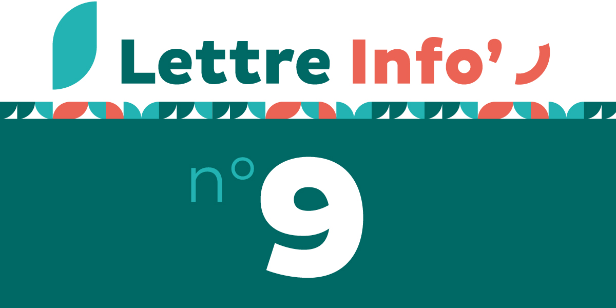 Vignette homepage Lettre d'informations